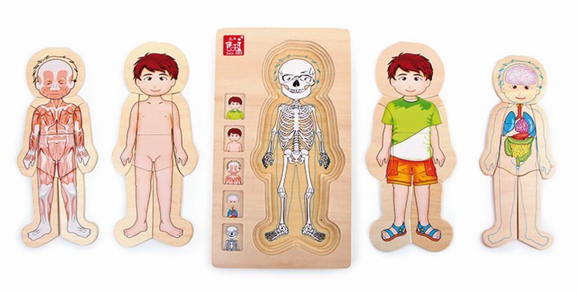 Holzpuzzle Anatomie Tim (Kinderpuzzle) main product photo