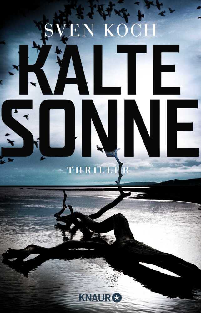 Kalte Sonne main product photo