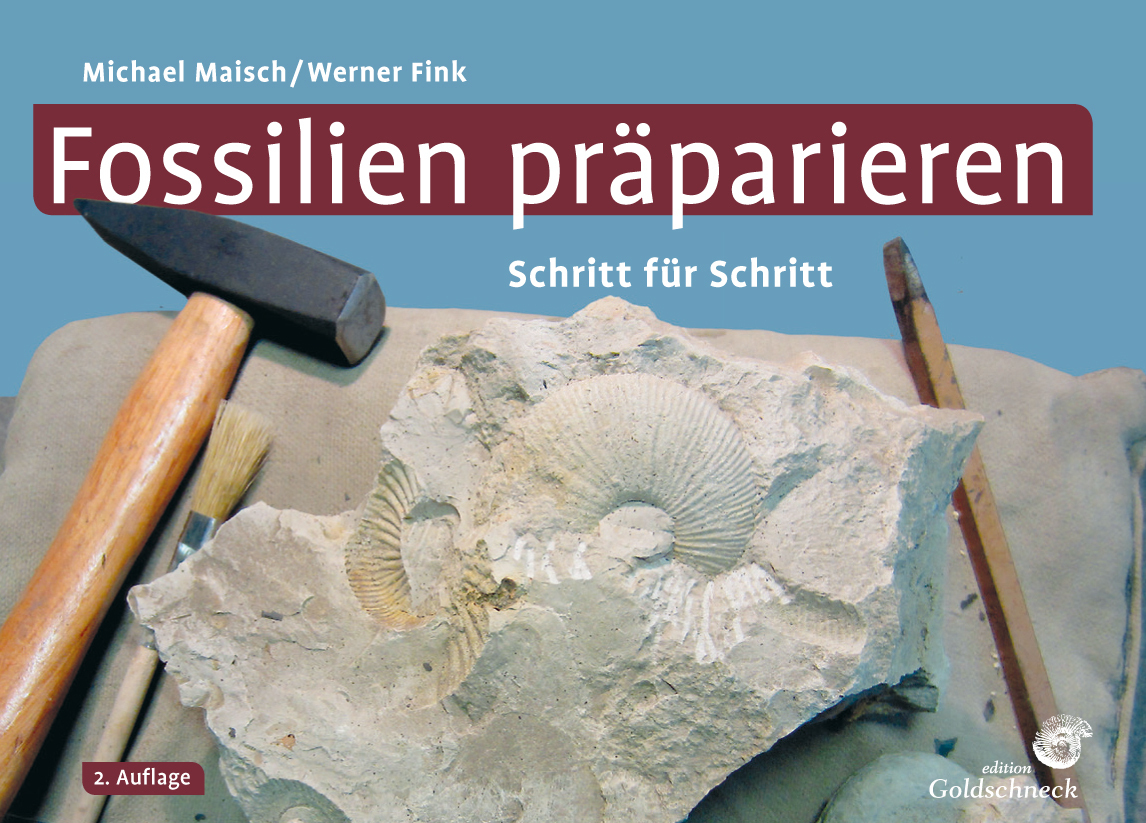 Fossilien präparieren main product photo