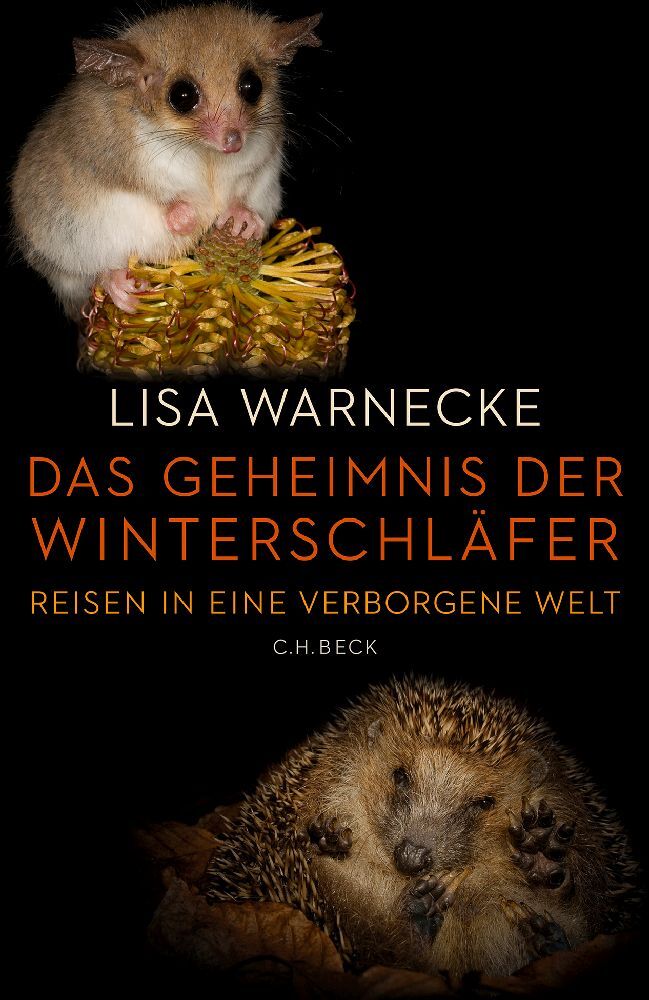 Das Geheimnis der Winterschläfer main product photo