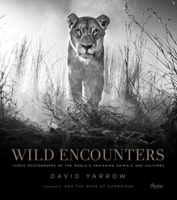 Wild Encounters main product photo