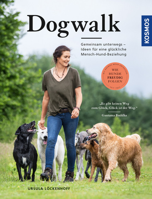 Dogwalk main product photo