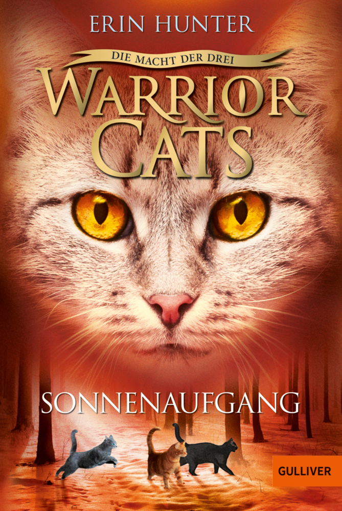 Warrior Cats - Die Macht der drei. Sonnenaufgang main product photo
