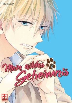 Mein wildes Geheimnis. Bd.2