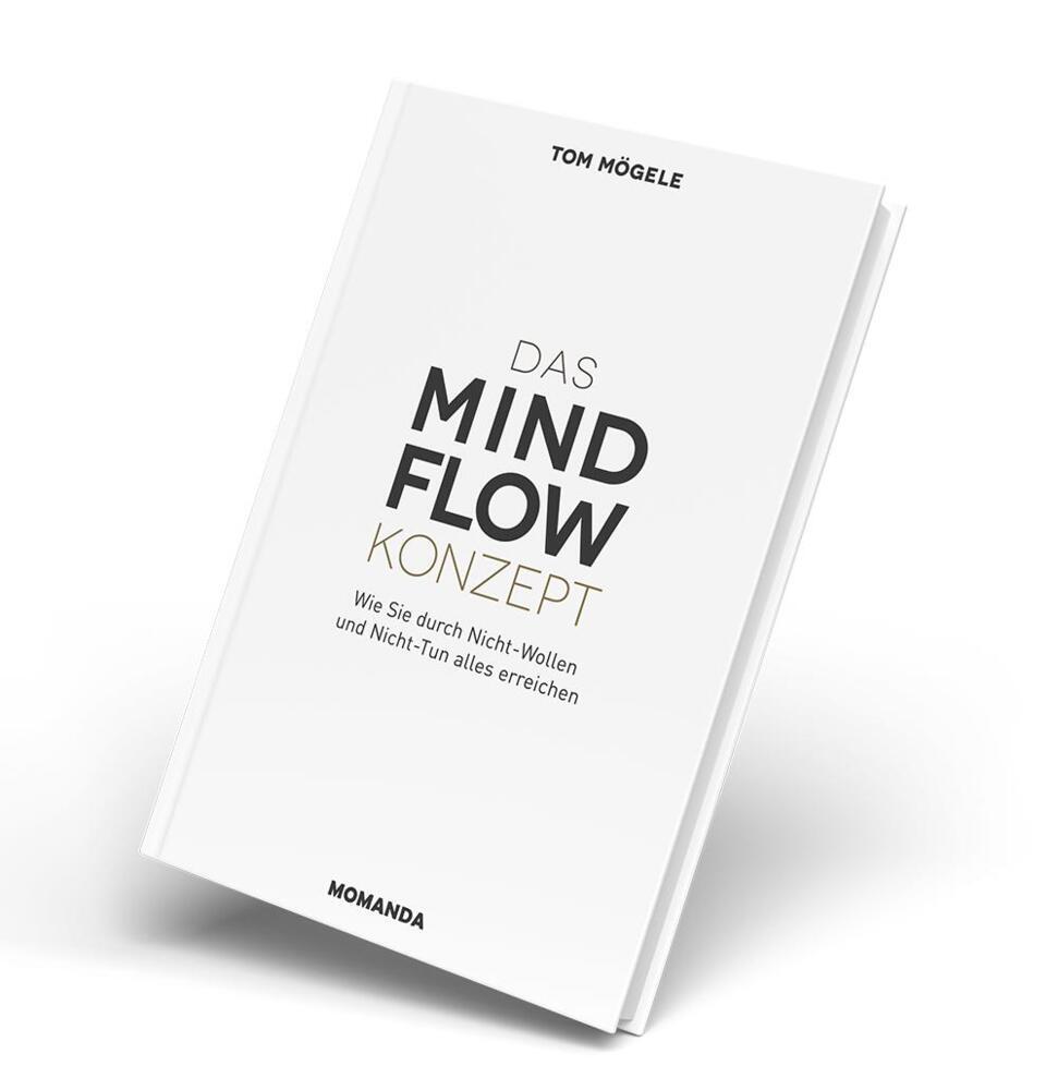 Das MindFlow Konzept main product photo