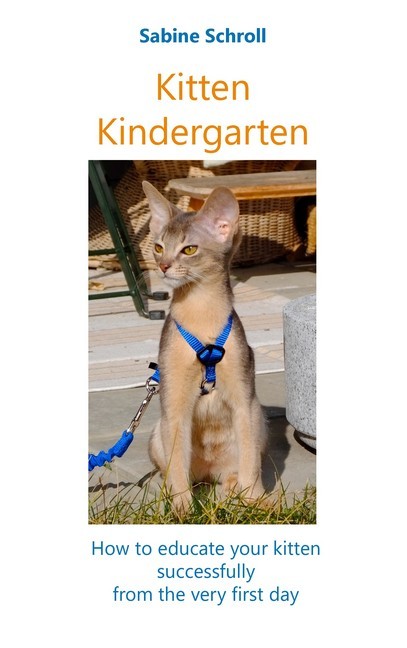 Kitten Kindergarten main product photo