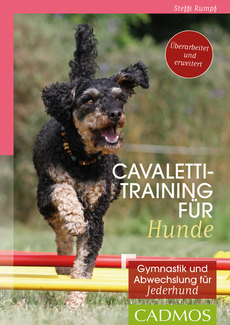 Cavalettitraining für Hunde main product photo
