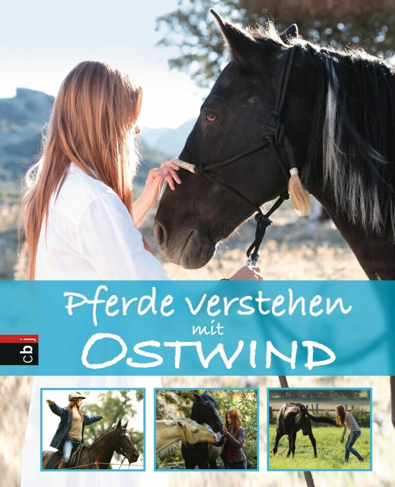 Pferde verstehen mit Ostwind main product photo