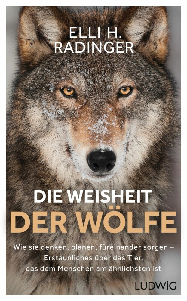 Die Weisheit der Wölfe main product photo