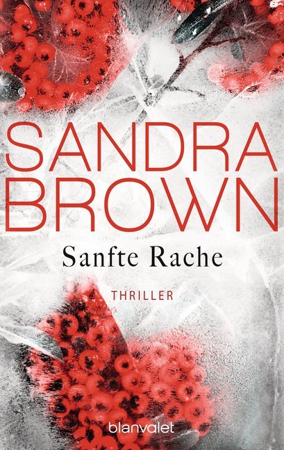 Sanfte Rache main product photo