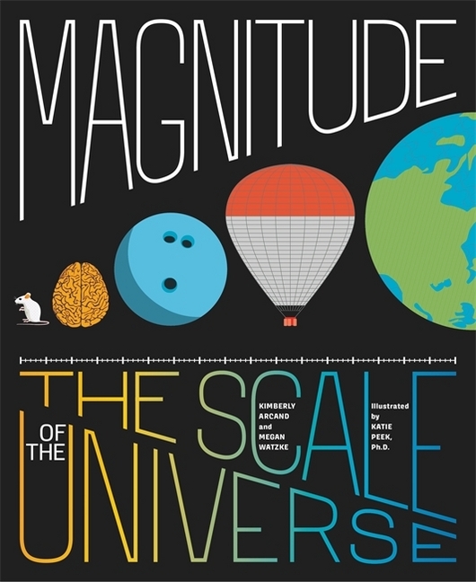 Magnitude main product photo