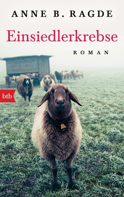 Einsiedlerkrebse main product photo