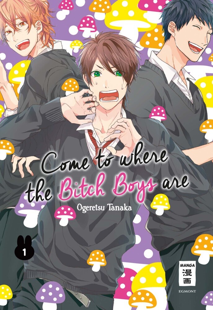 Come to where the Bitch Boys are. Bd.1 main product photo