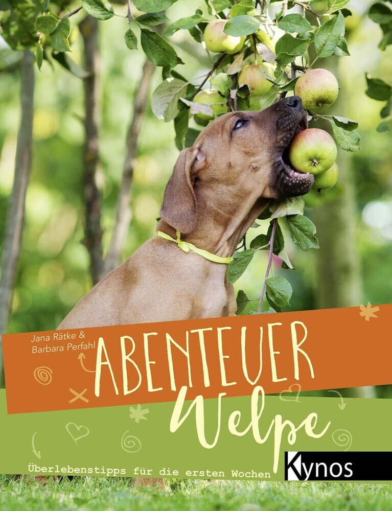 Abenteuer Welpe main product photo