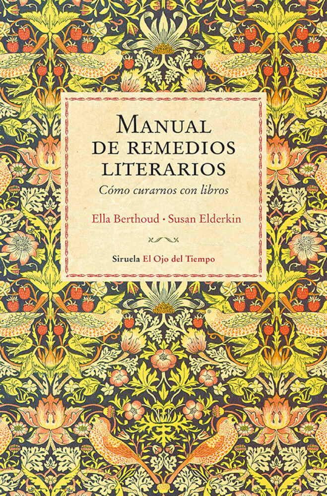 Manual de remedios literarios main product photo