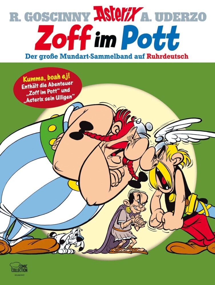 Asterix - Zoff im Pott main product photo