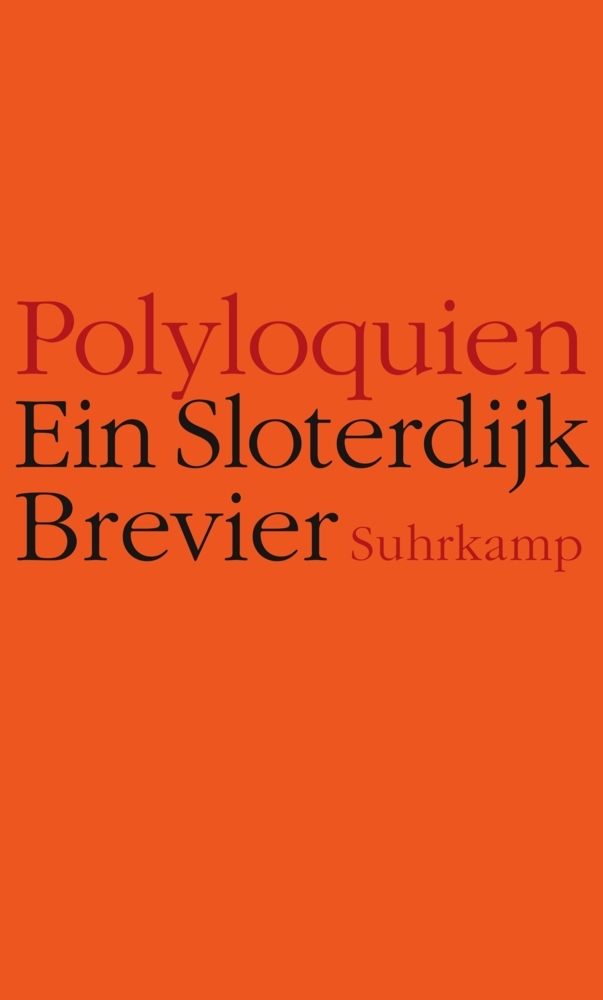Polyloquien main product photo