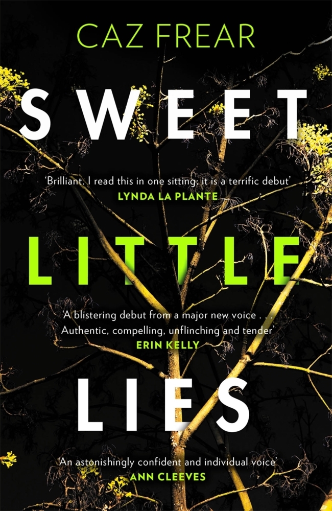 Sweet Little Lies main product photo