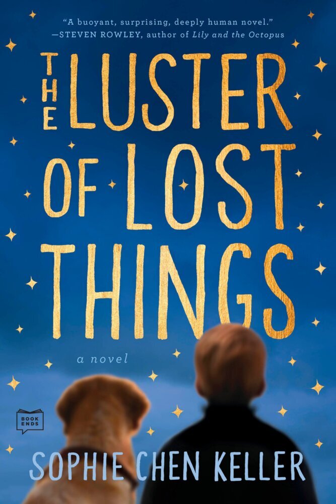 The Luster of Lost Things main product photo