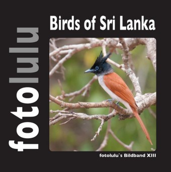 fotolulu's Bildband XIII