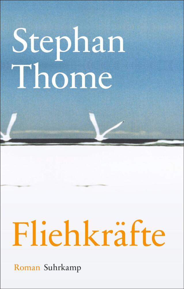 Fliehkräfte main product photo
