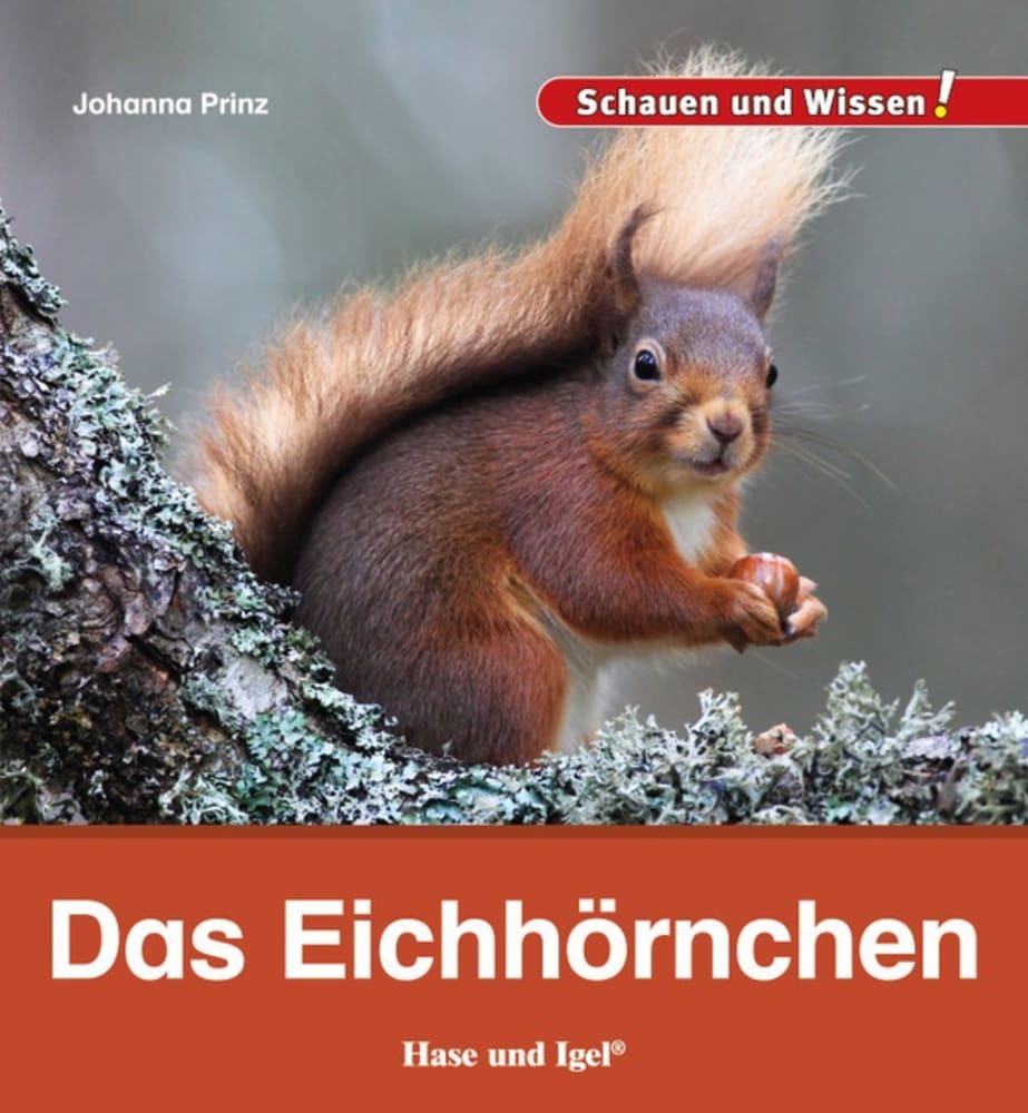 Das Eichhörnchen main product photo