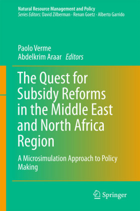 The Quest for Subsidy Reforms in the Middle East and North Africa Region