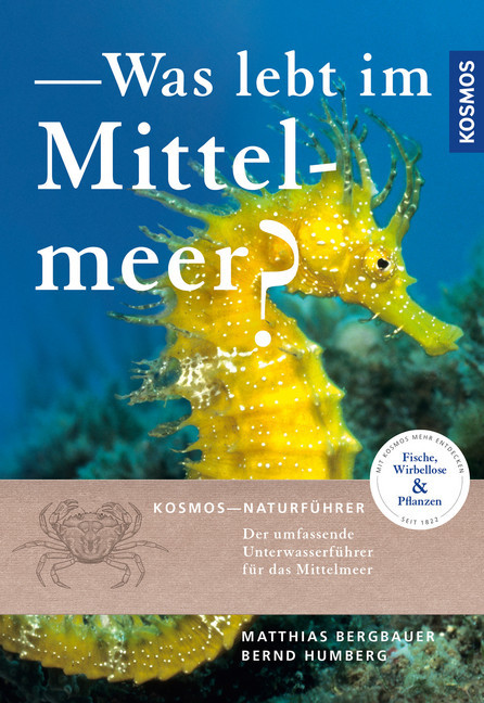 Was lebt im Mittelmeer main product photo
