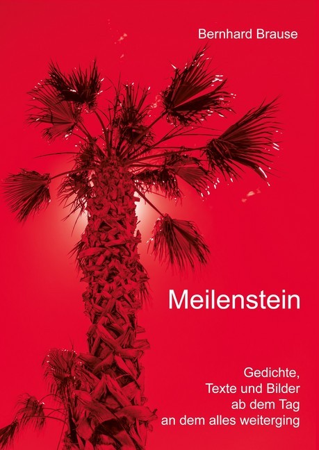 Meilenstein main product photo