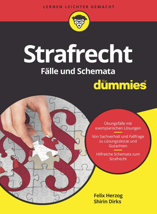 Strafrecht Fälle und Schemata für Dummies main product photo