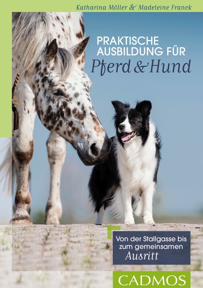 Praktische Ausbildung für Pferd und Hund main product photo