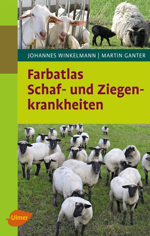 Schaf- und Ziegenkrankheiten main product photo