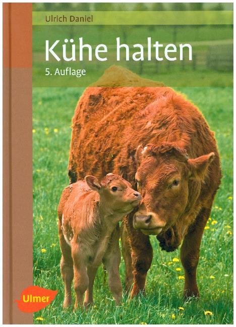 Kühe halten main product photo