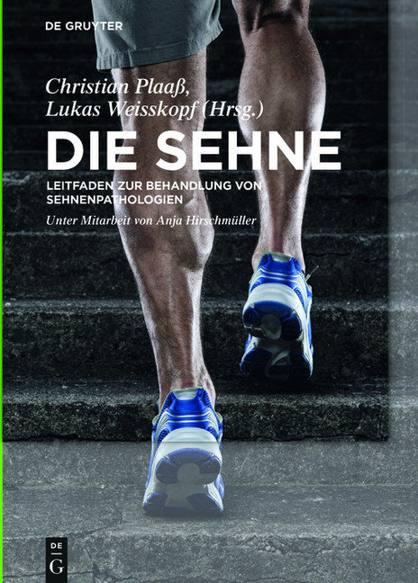 Die Sehne main product photo