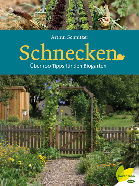 Schnecken main product photo