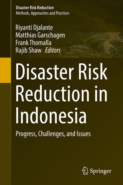 Disaster Risk Reduction in Indonesia main product photo
