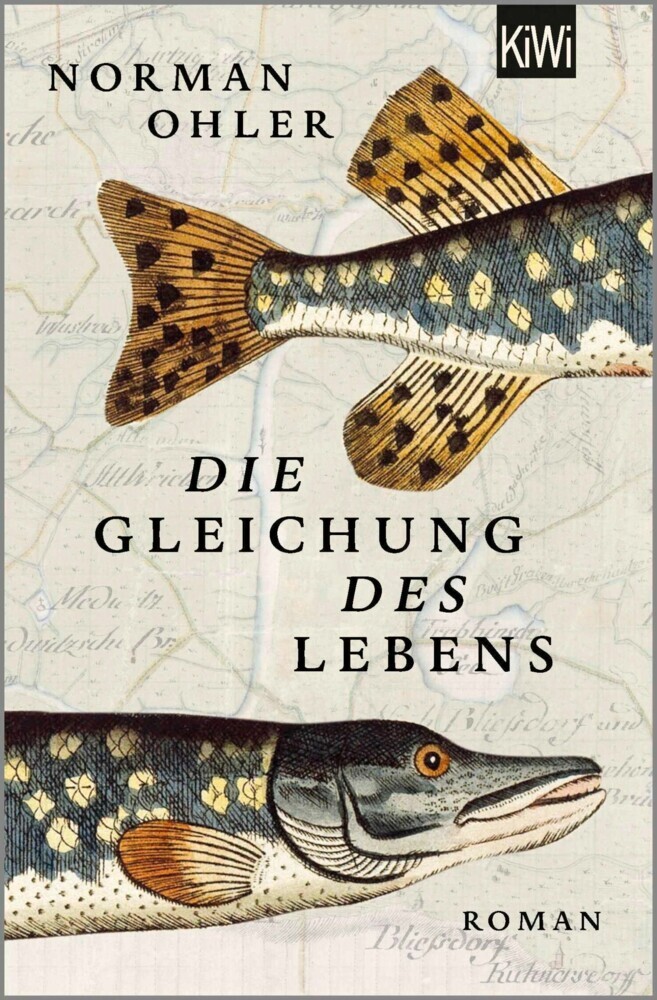 Die Gleichung des Lebens main product photo