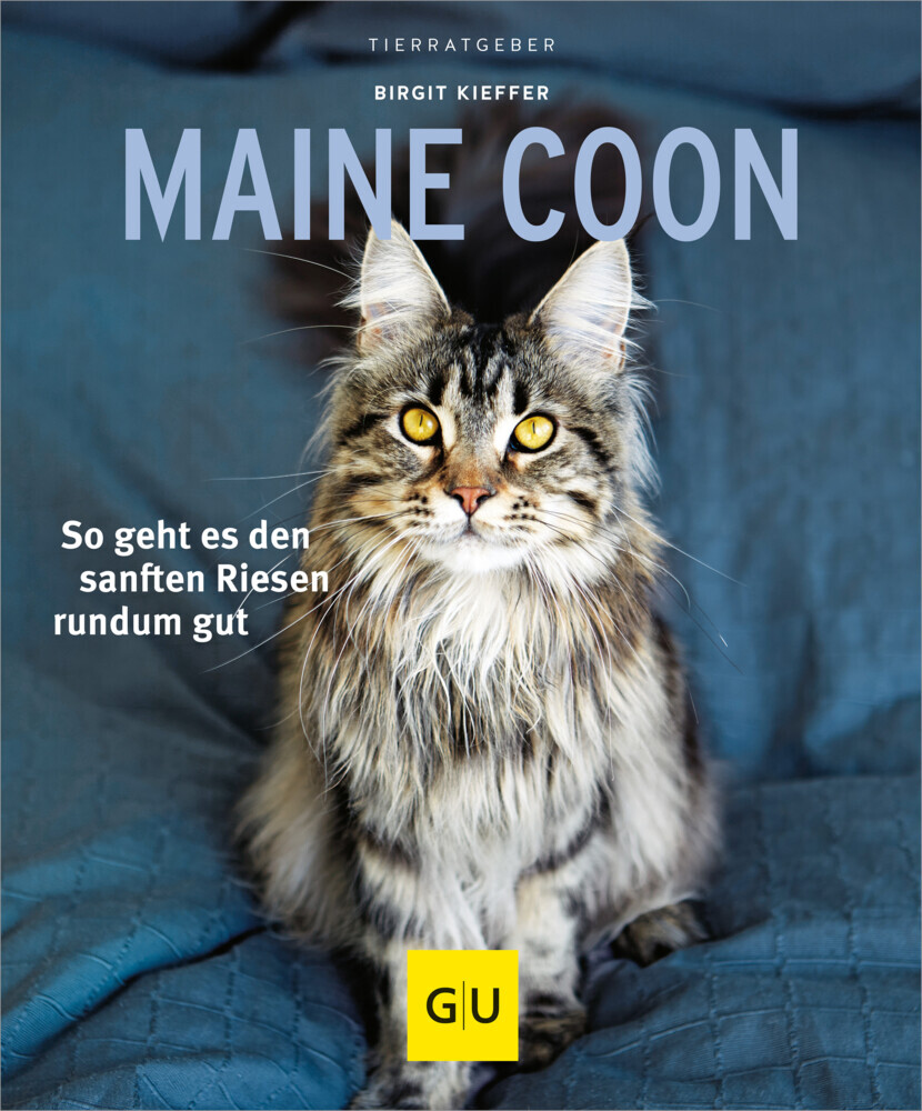 Maine Coon main product photo