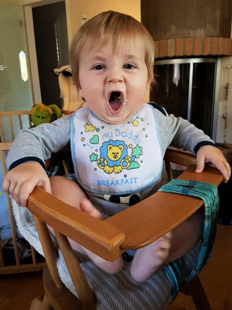 Gourmetbaby - Ein Kochbuch für kleine Genießer main product photo