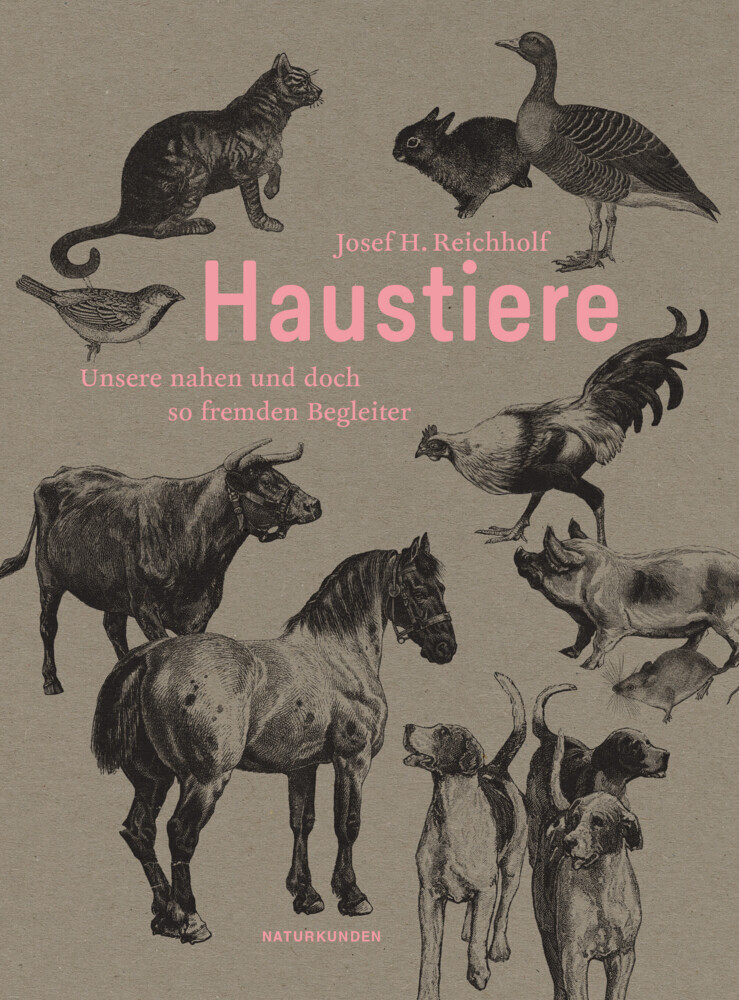 Haustiere main product photo