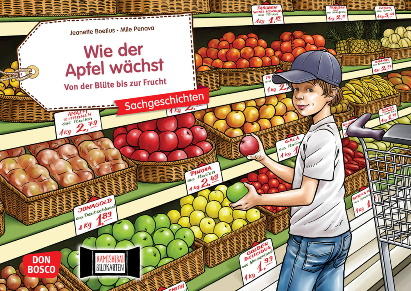 Wie der Apfel wächst. Von der Blüte bis zur Frucht. Kamishibai Bildkartenset main product photo