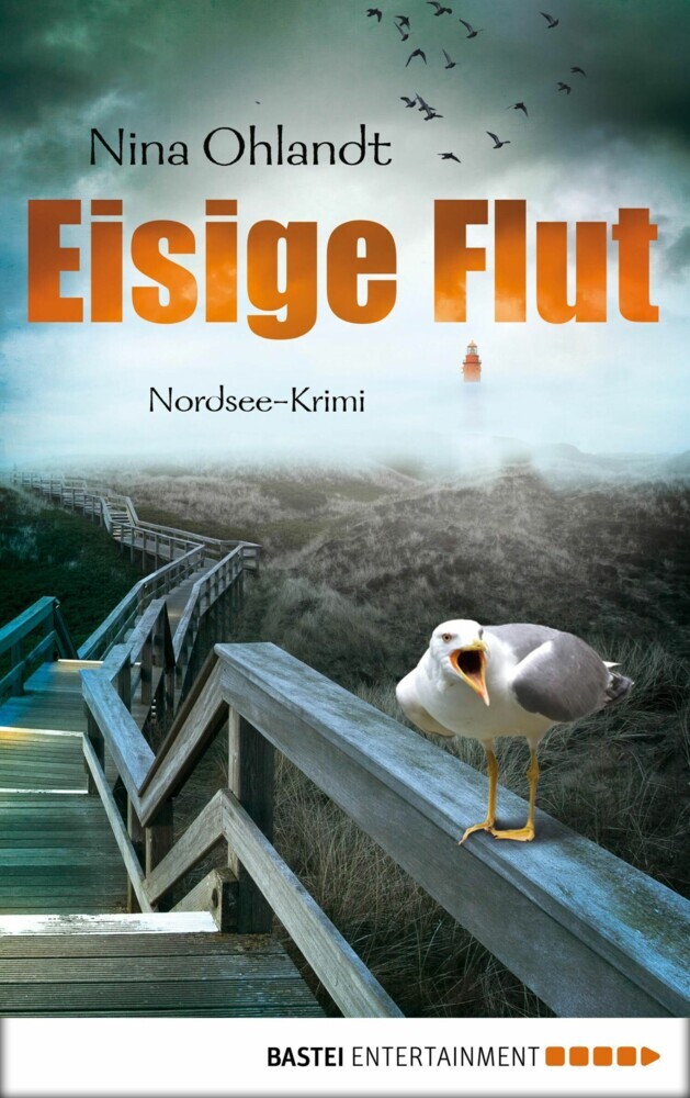 Eisige Flut main product photo