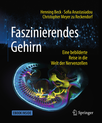 Faszinierendes Gehirn, m. 1 Buch, m. 1 E-Book