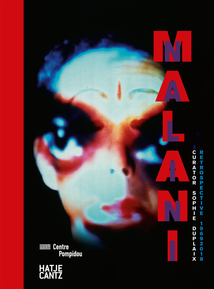 Nalini Malani main product photo