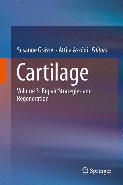 Cartilage main product photo