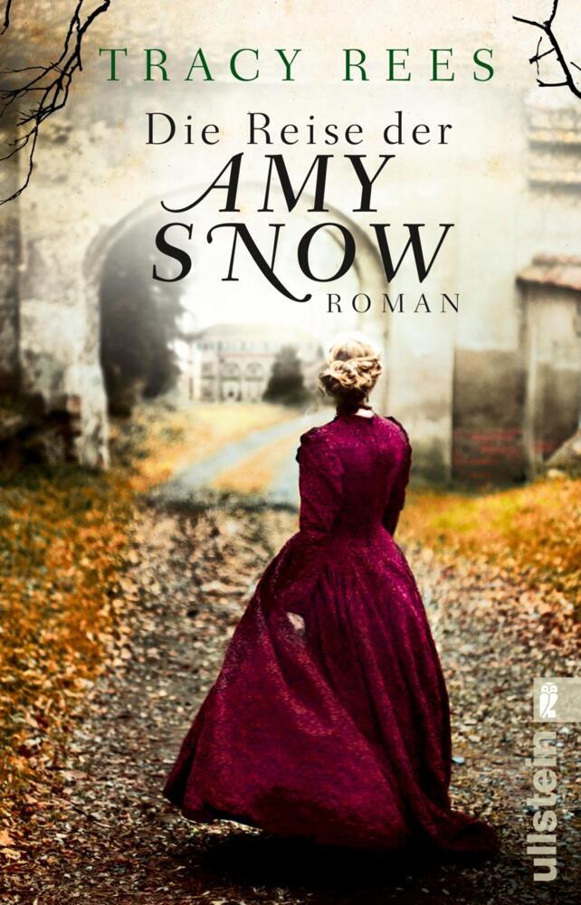 Die Reise der Amy Snow main product photo