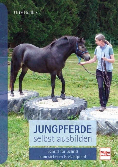 Jungpferde selbst ausbilden main product photo