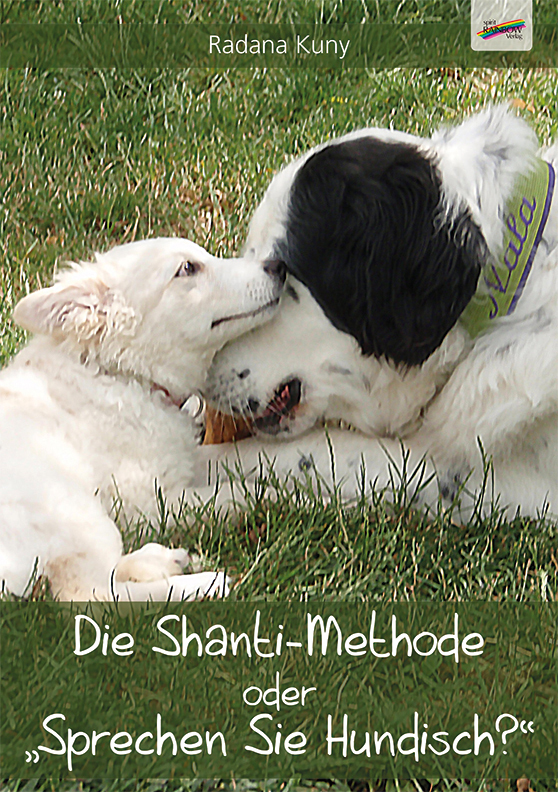 Die Shanti-Methode main product photo