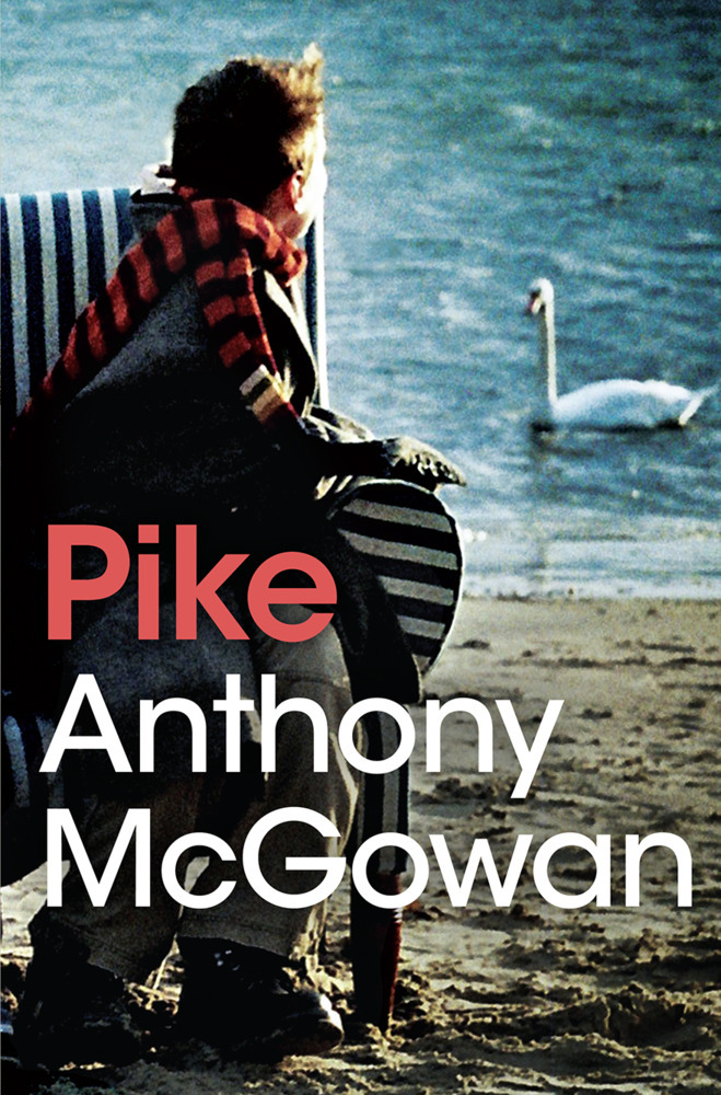 Pike main product photo