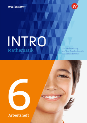 INTRO Mathematik SI - Arbeitsheft 6